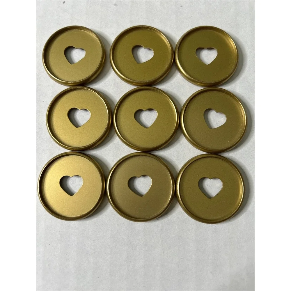 Happy Planner Discs Gold color plastic 9 pieces Classic Planner size